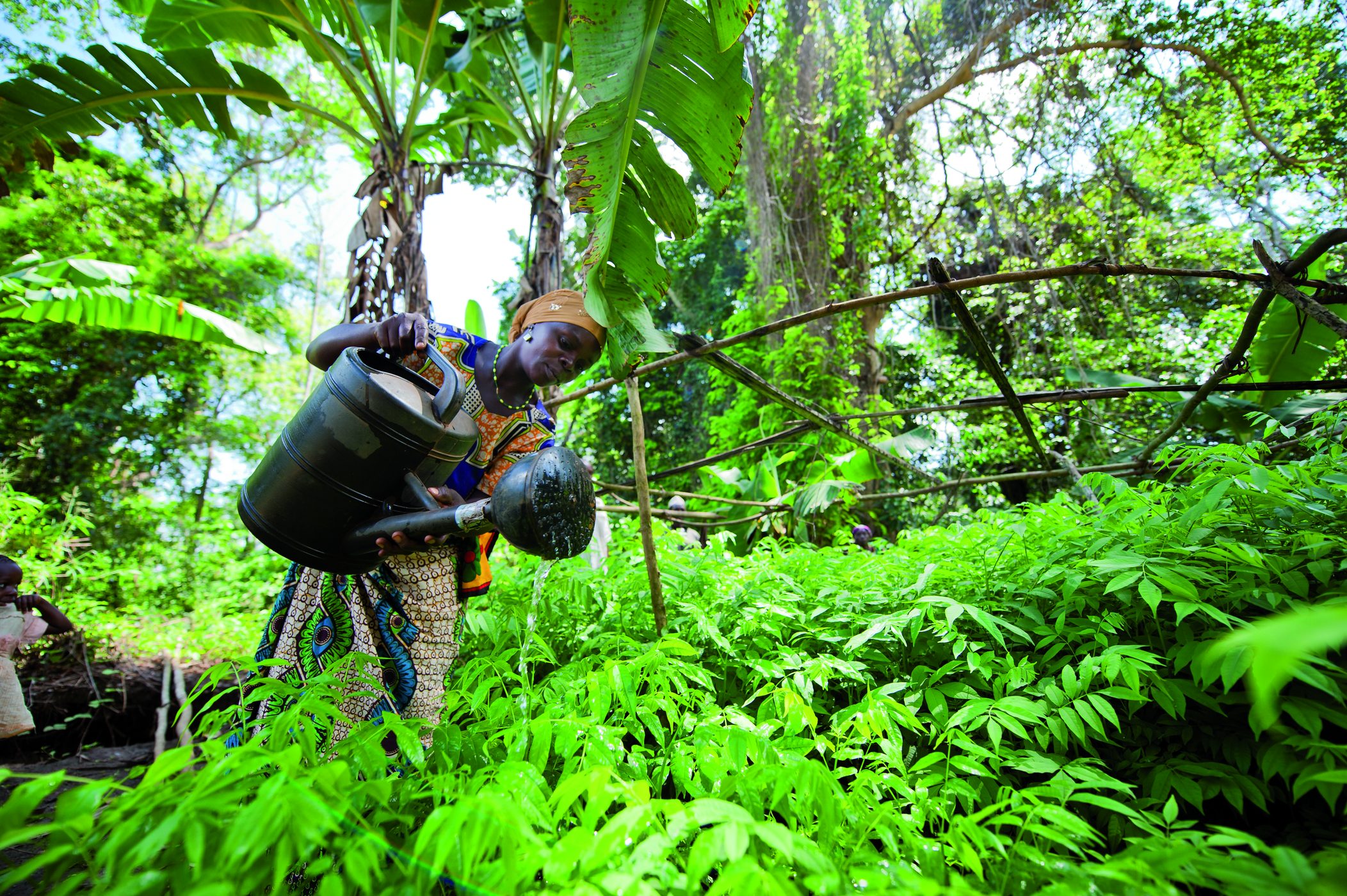 Field team working in a wetland landscape